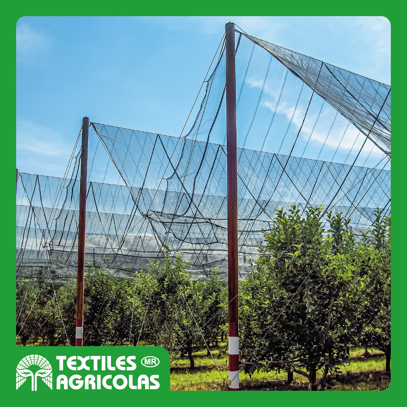 MALLA ANTIGRANIZO REFORZADO - Imagen 5