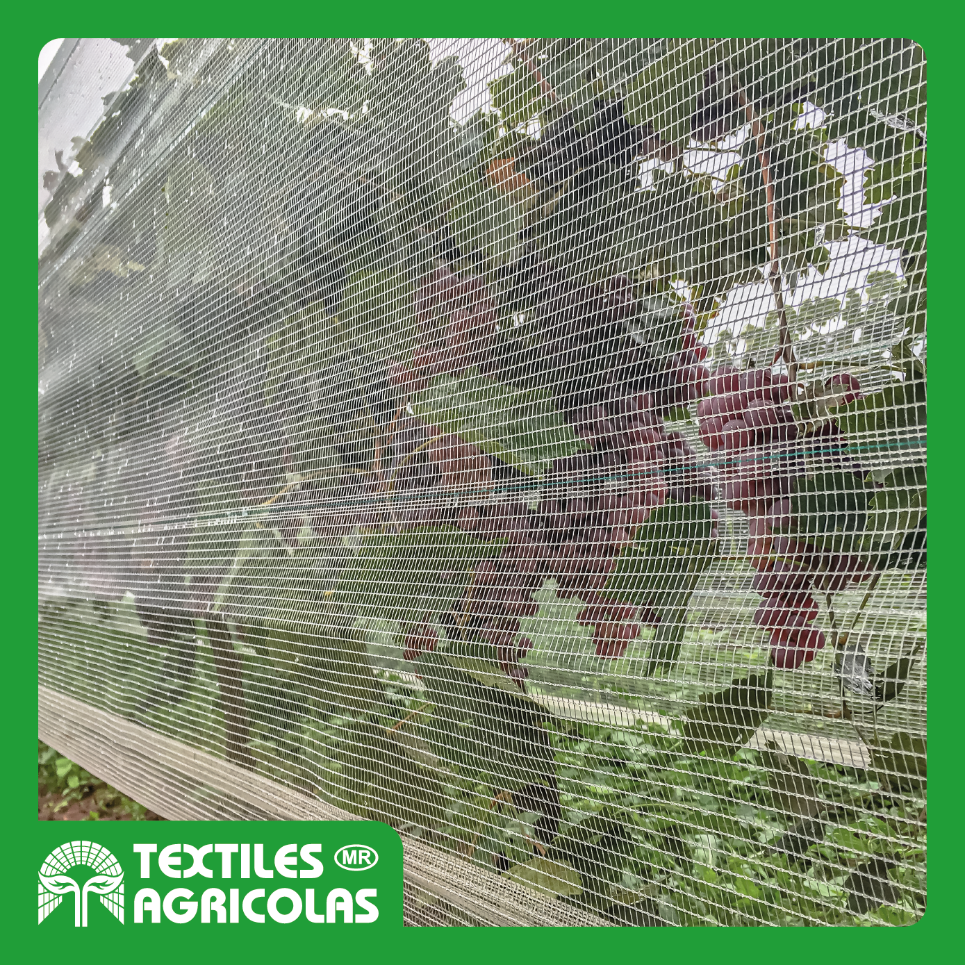 MALLA ANTIGRANIZO VID