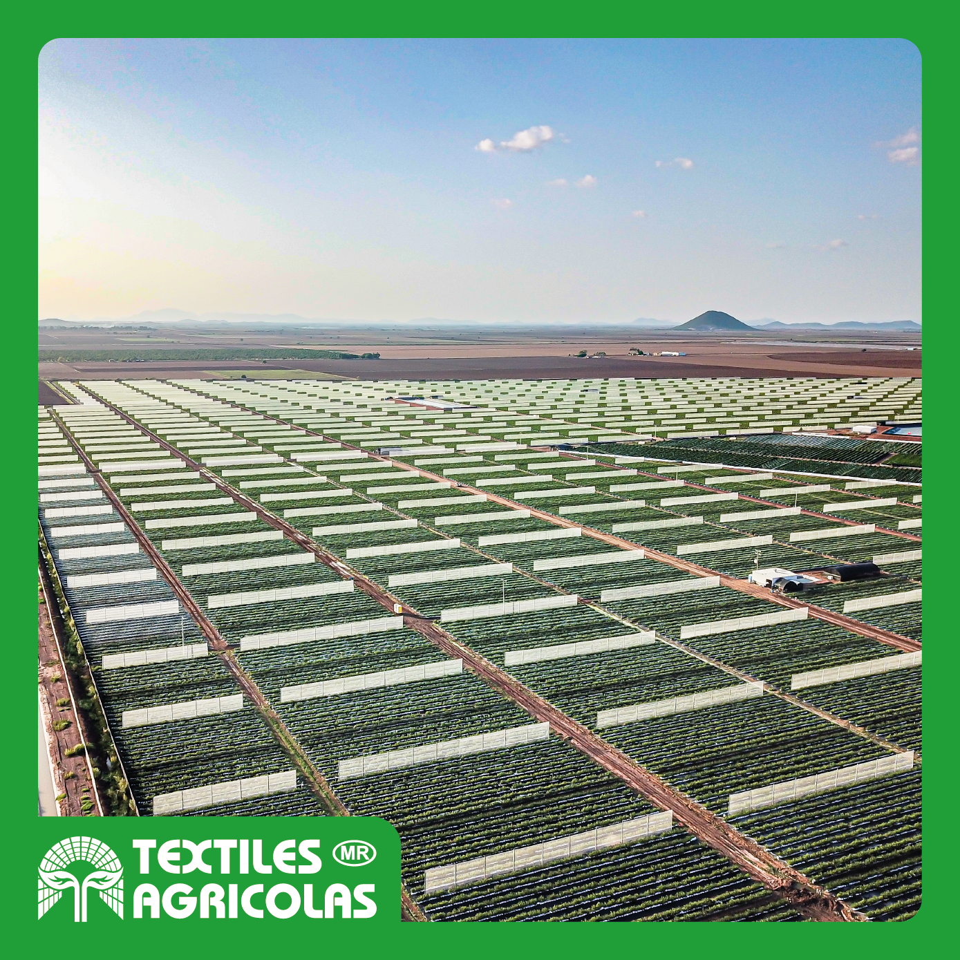 CORTAVIENTOS 6X6 - Imagen 3