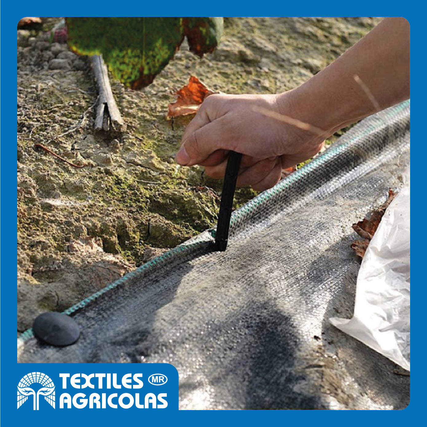 ESTACAS PARA GROUND COVER - Imagen 2