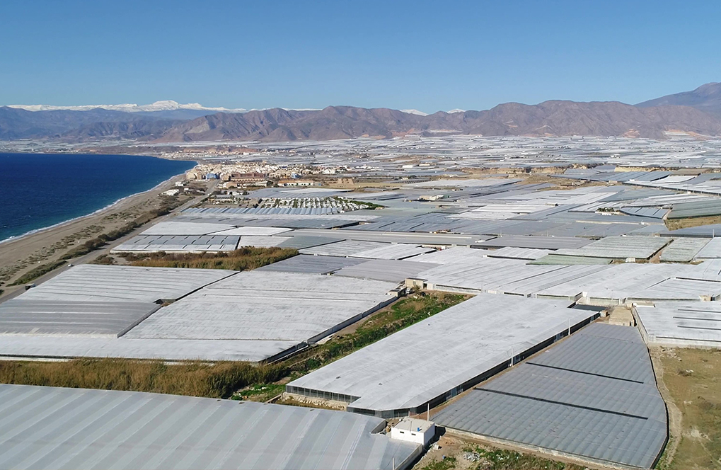 MÉXICO 6TO LUGAR EN AGRICULTURA PROTEGIDA