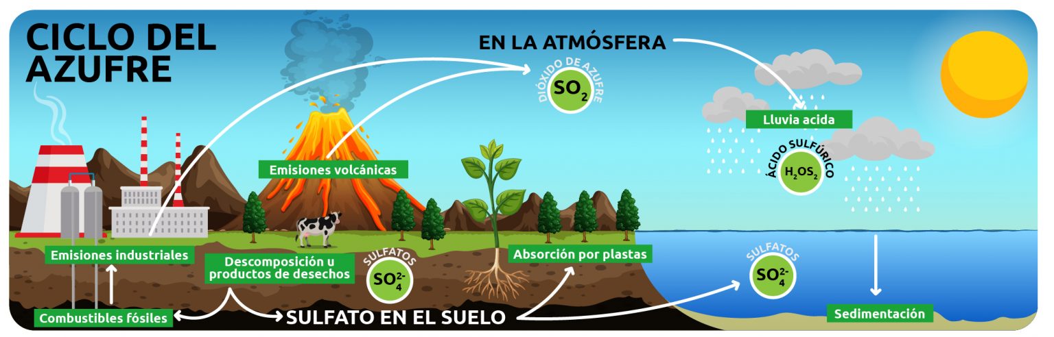 EL AZUFRE COMO DEFENSA CONTRA PLAGAS Y ENFERMEDADES | Grupo Textiles