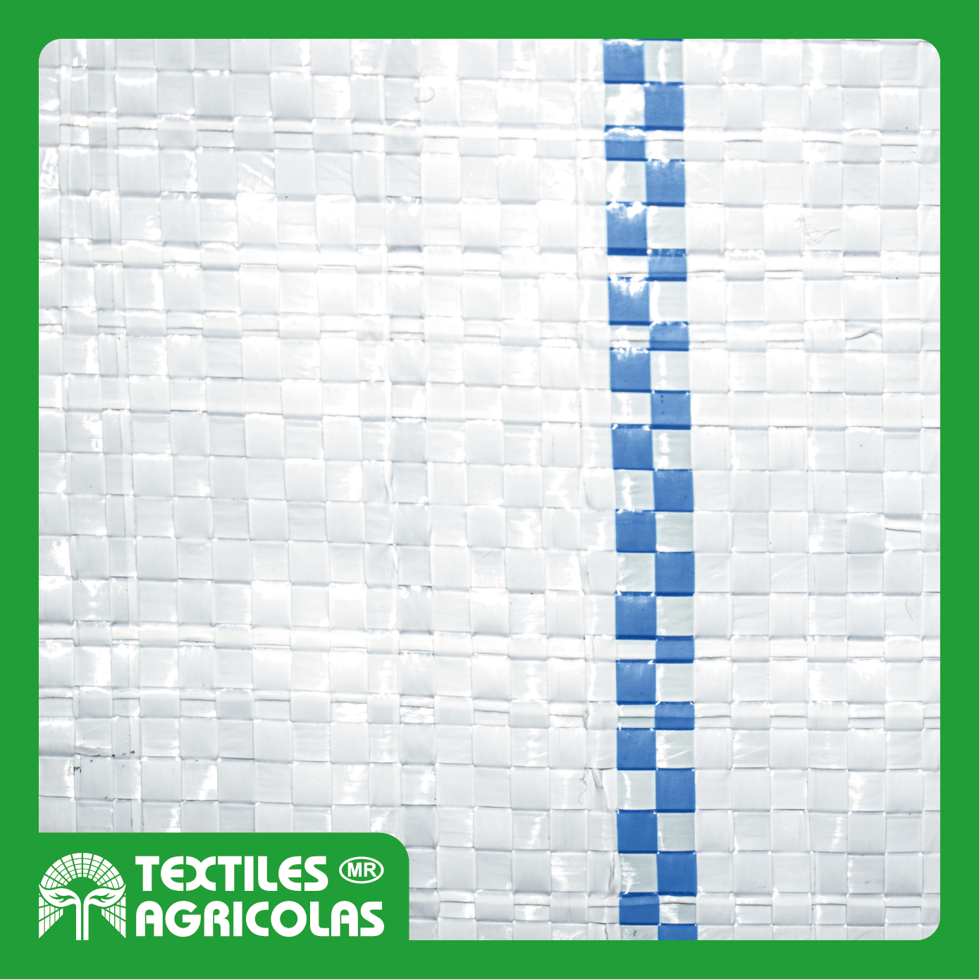 GROUND COVER LUMINOSO - Imagen 3