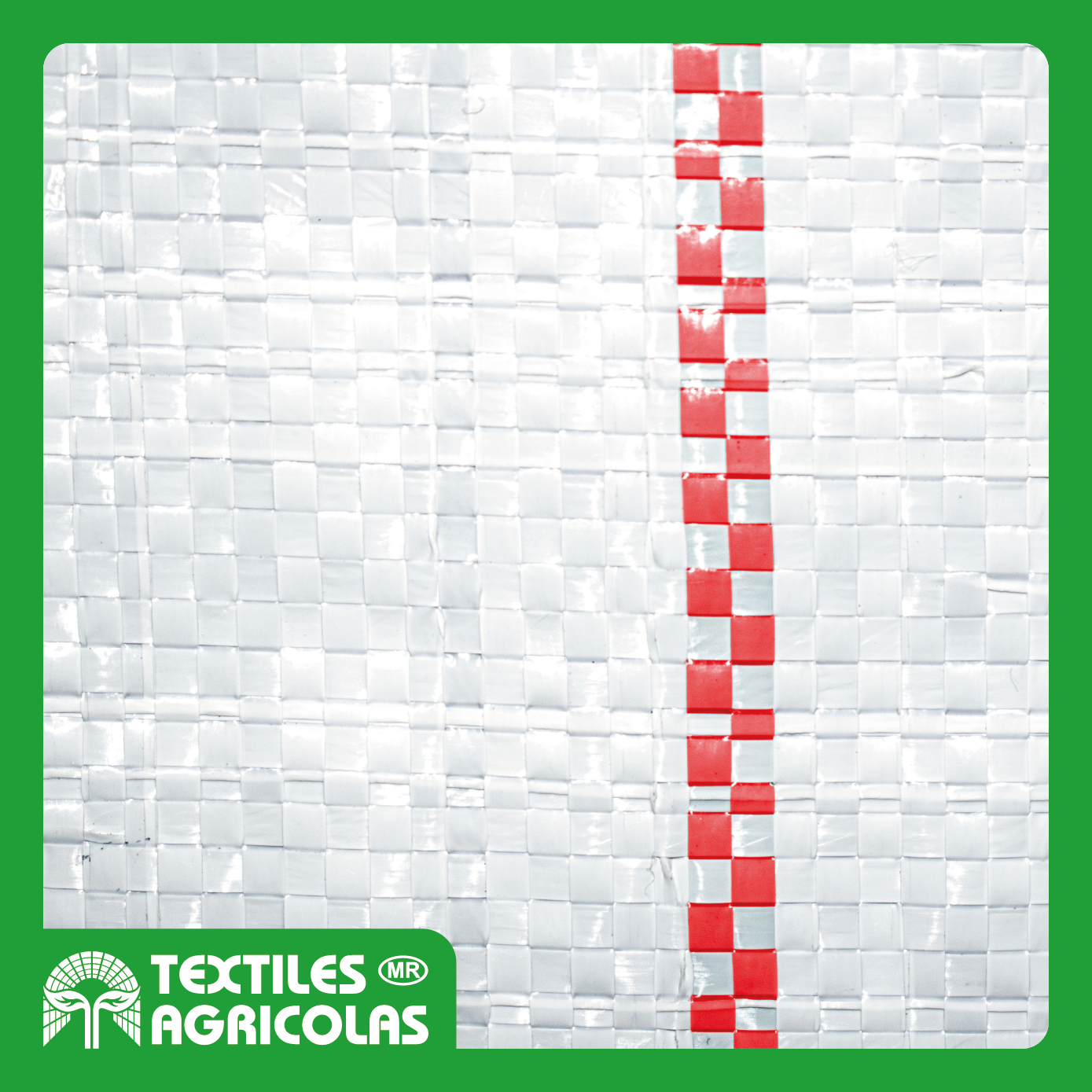 GROUND COVER LUMINOSO - Imagen 4