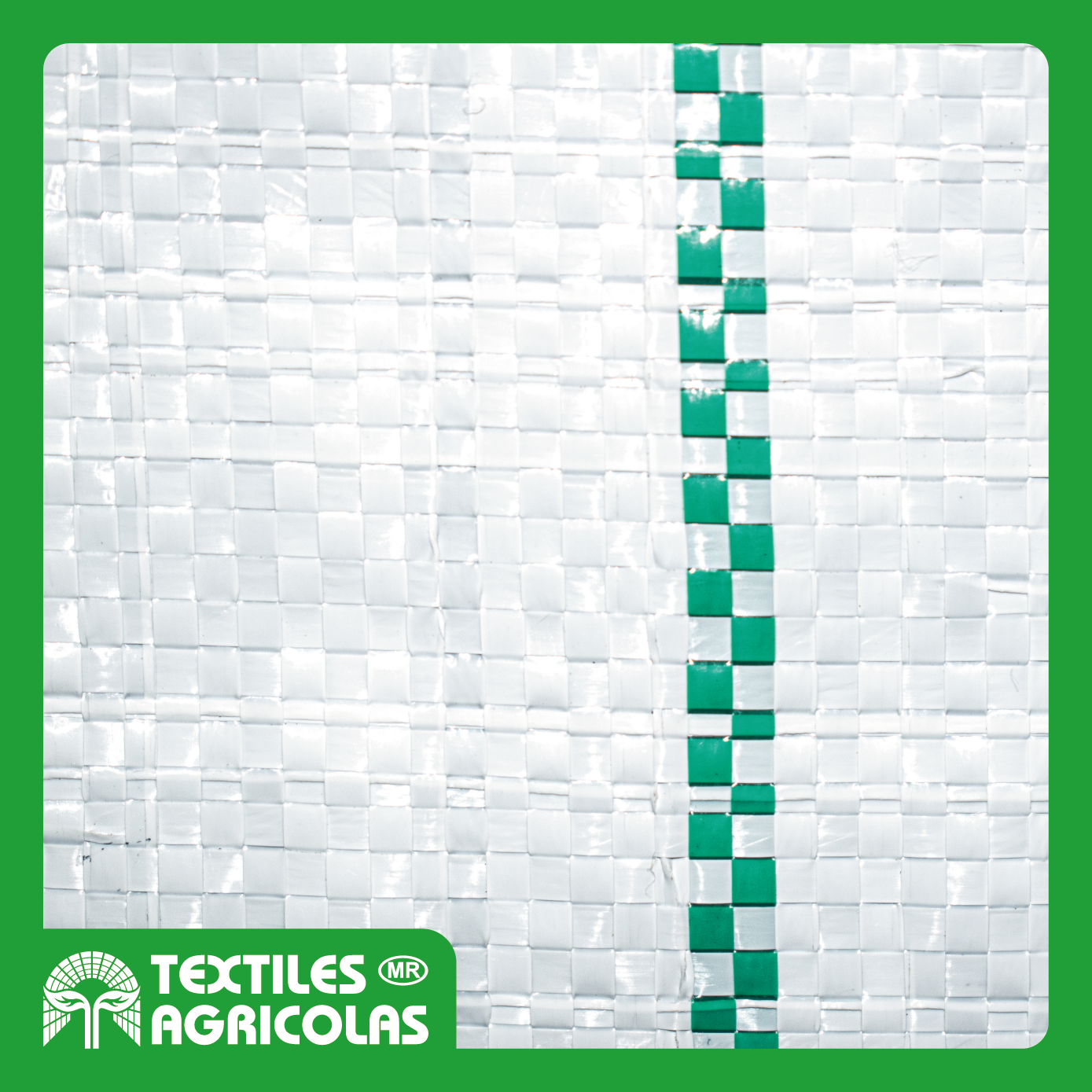 GROUND COVER LUMINOSO